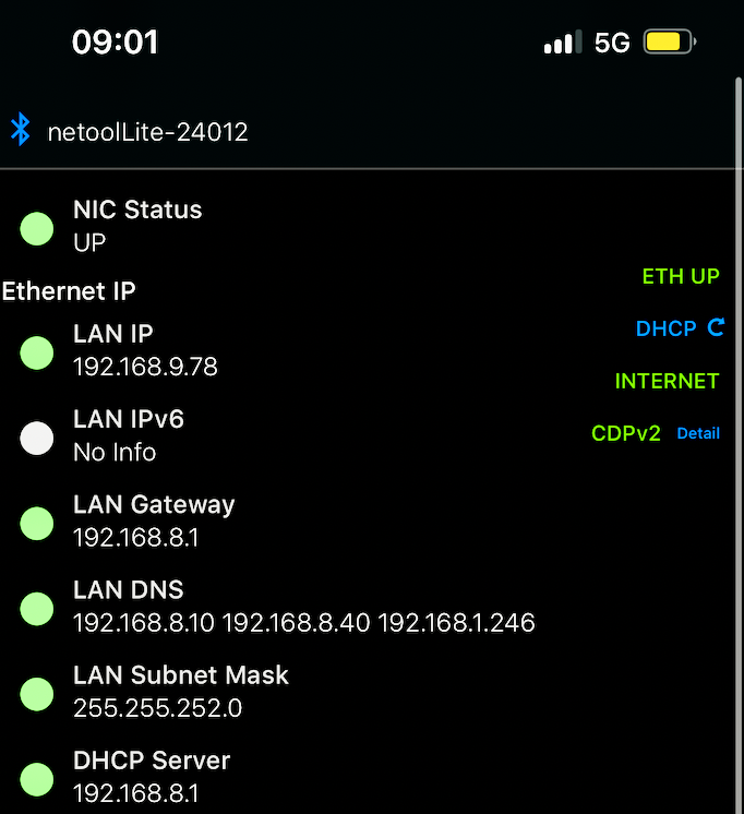 Measurements on RJ45 outlet: VLAN/DHCP and IP parameters (anonymized data)
